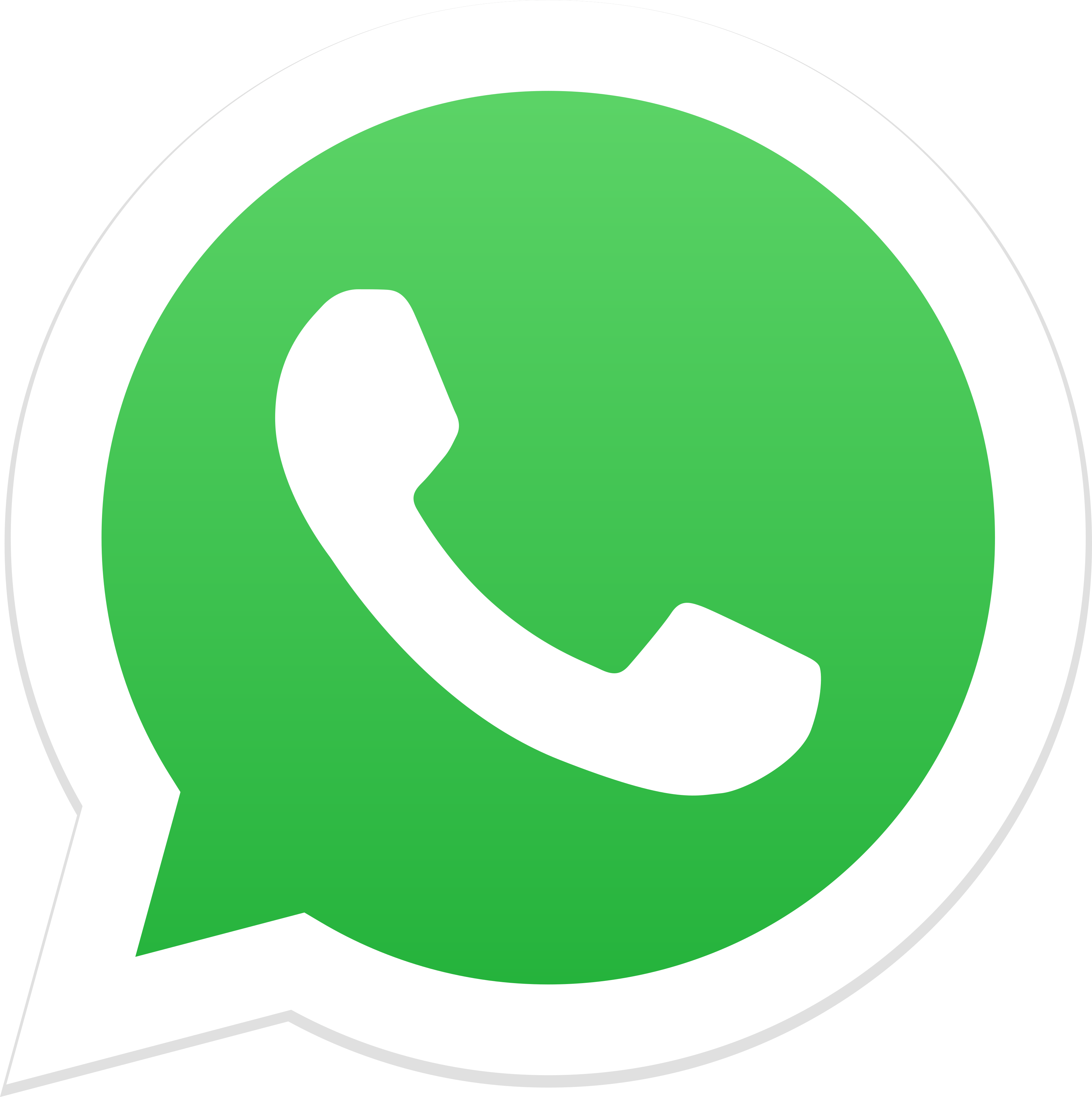 Logo Whatsapp - Tipicità